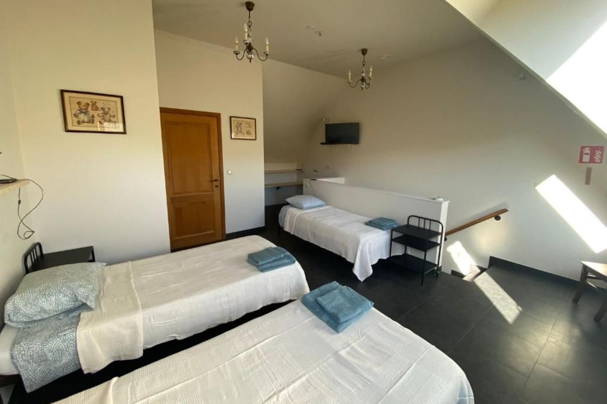 A room with two single beds, a desk, a chair, a TV mounted on the wall, and a chandelier.