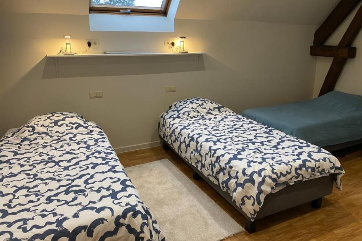 A bedroom with two beds, a skylight, and a shelf with lights.