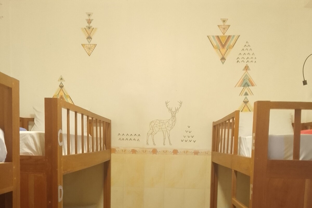 Standard Shared Dormitory | Desk, laptop workspace, free WiFi