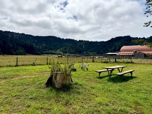 Un champ verdoyant avec des tables et des chaises de pique-nique, une zone délimitée par une clôture et, au fond, un bâtiment avec un toit rouge.