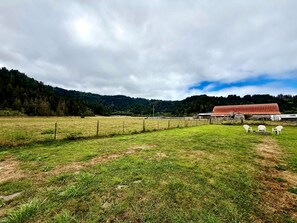 A rural landscape with a fenced field, a red barn, and a forested hill in the background. - Redwood Valley Farmhouse | Ranch Stay + Game Room (Orick)
