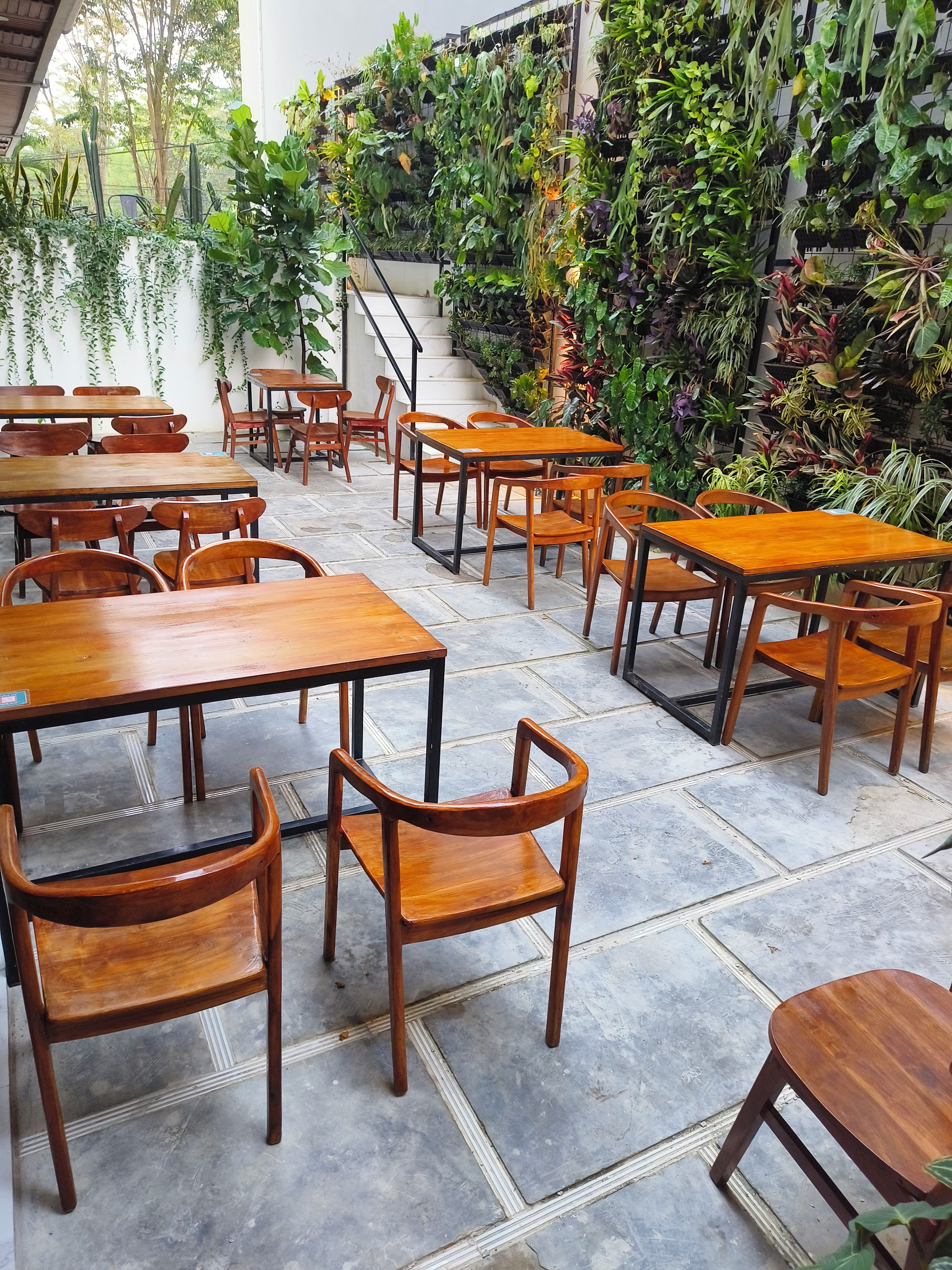 Un restaurant avec des tables et des chaises en bois, entouré de différentes sortes de plantes.