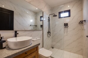 A modern bathroom with a large white sink, a toilet, and a walk-in shower with a glass door.