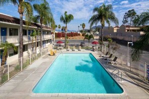 A swimming pool with a fenced deck, lounge chairs, and palm trees.