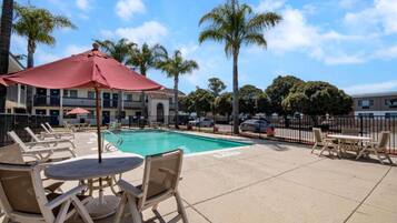 A pool area with lounge chairs and umbrellas, surrounded by palm trees and a building with multiple windows.