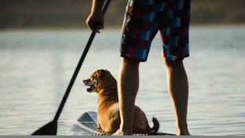 A person standing on a paddleboard with a dog, in a calm body of water.