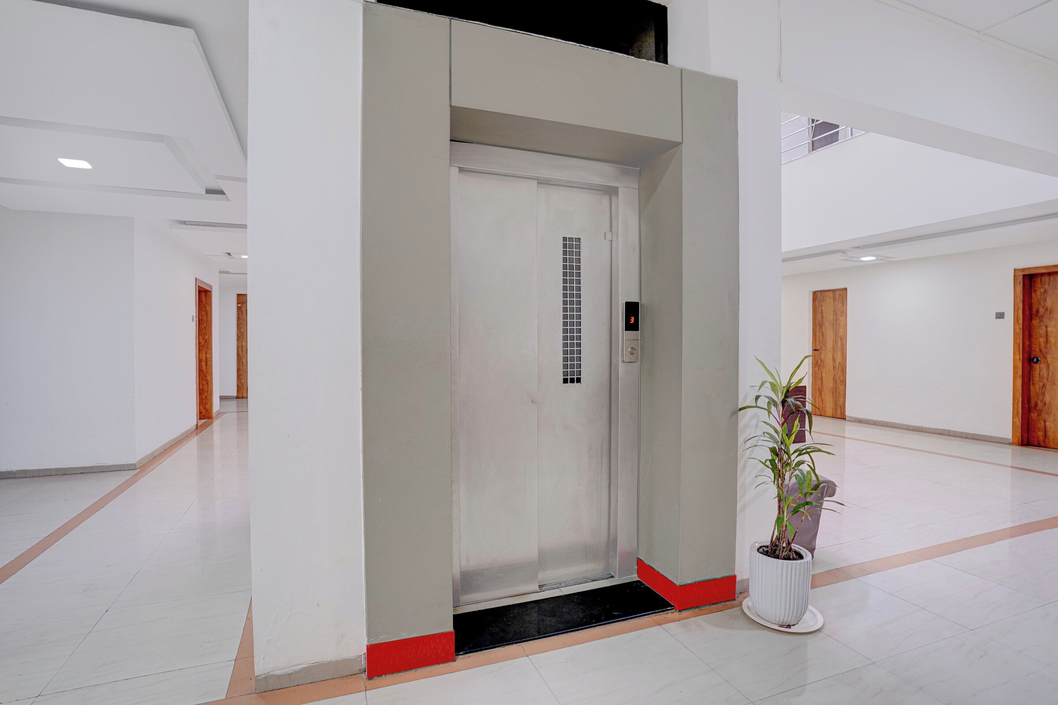 Un pasillo con una puerta que da a un ascensor, una planta en maceta y una puerta de madera al fondo.