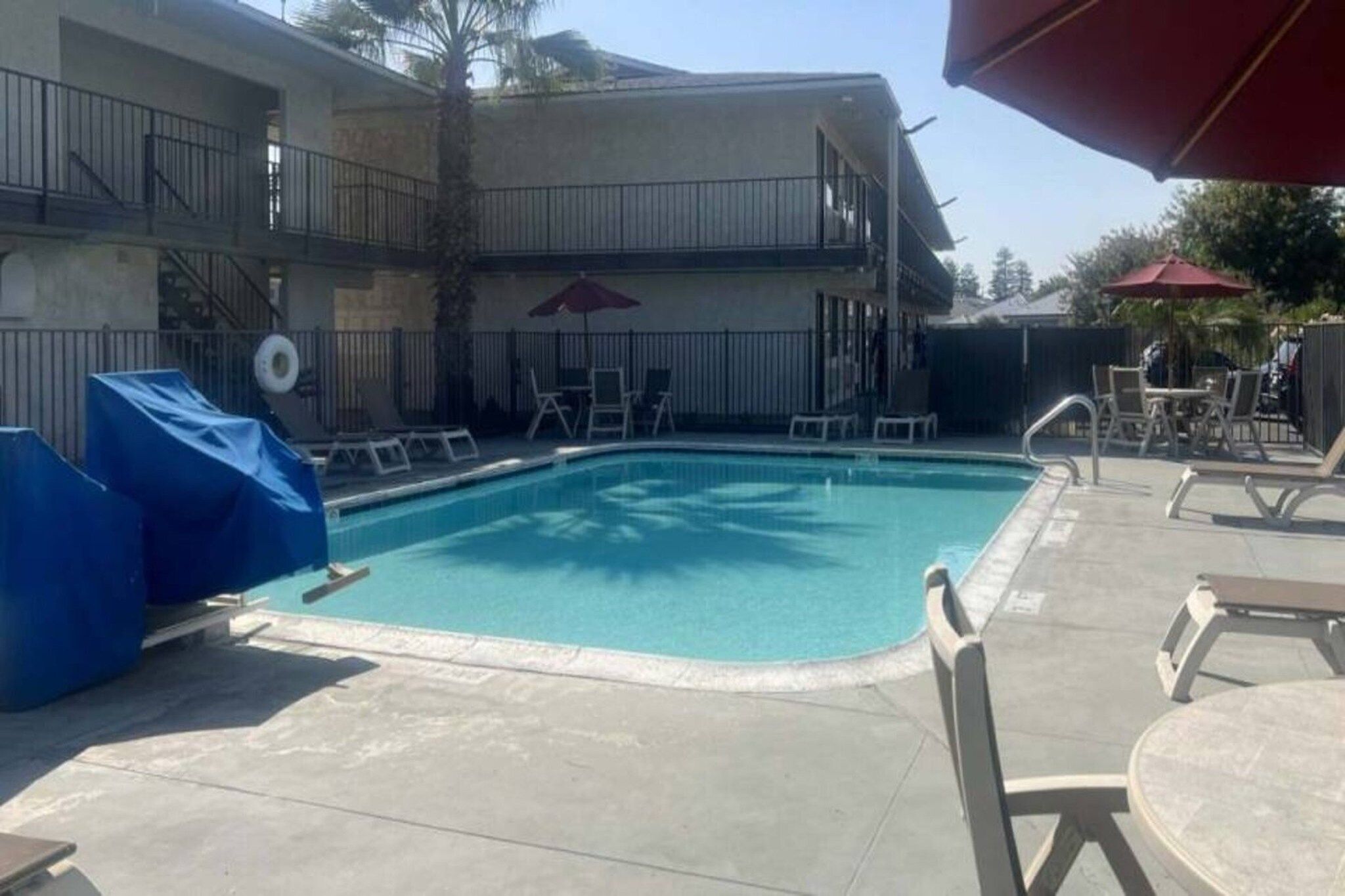 Ein rechteckiger Pool mit Fliesen umgeben, mit Liegestühlen und Sonnenschirmen.