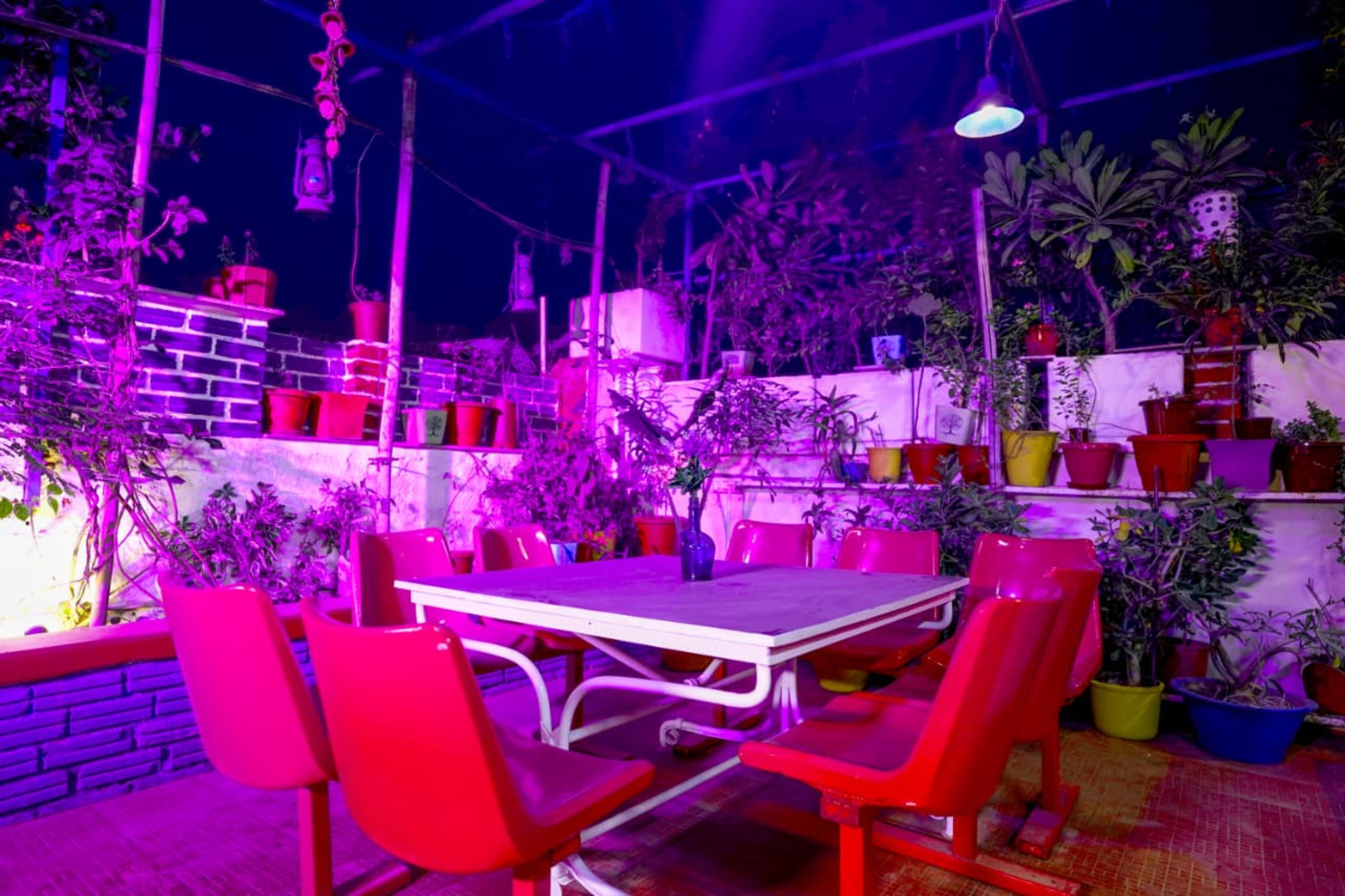 An outdoor dining area with a table and chairs, surrounded by potted plants and a brick wall.