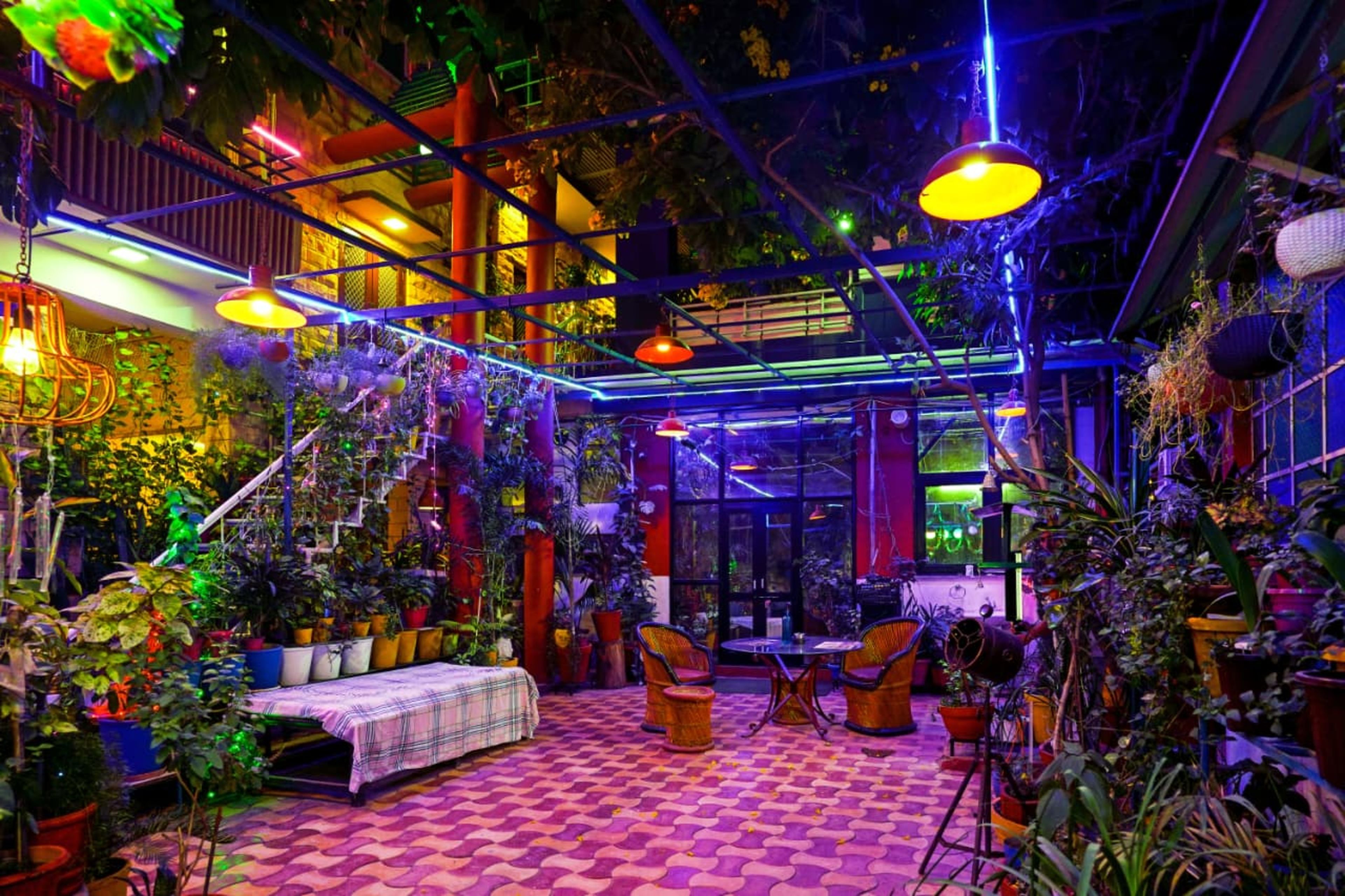 Una habitación con piso de cuadros, una cama, sillas y una escalera rodeada de plantas.