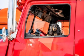 A red truck with a dog visible through the window. - 2 Full Beds | Smoking, Micfridge (Hesperia)
