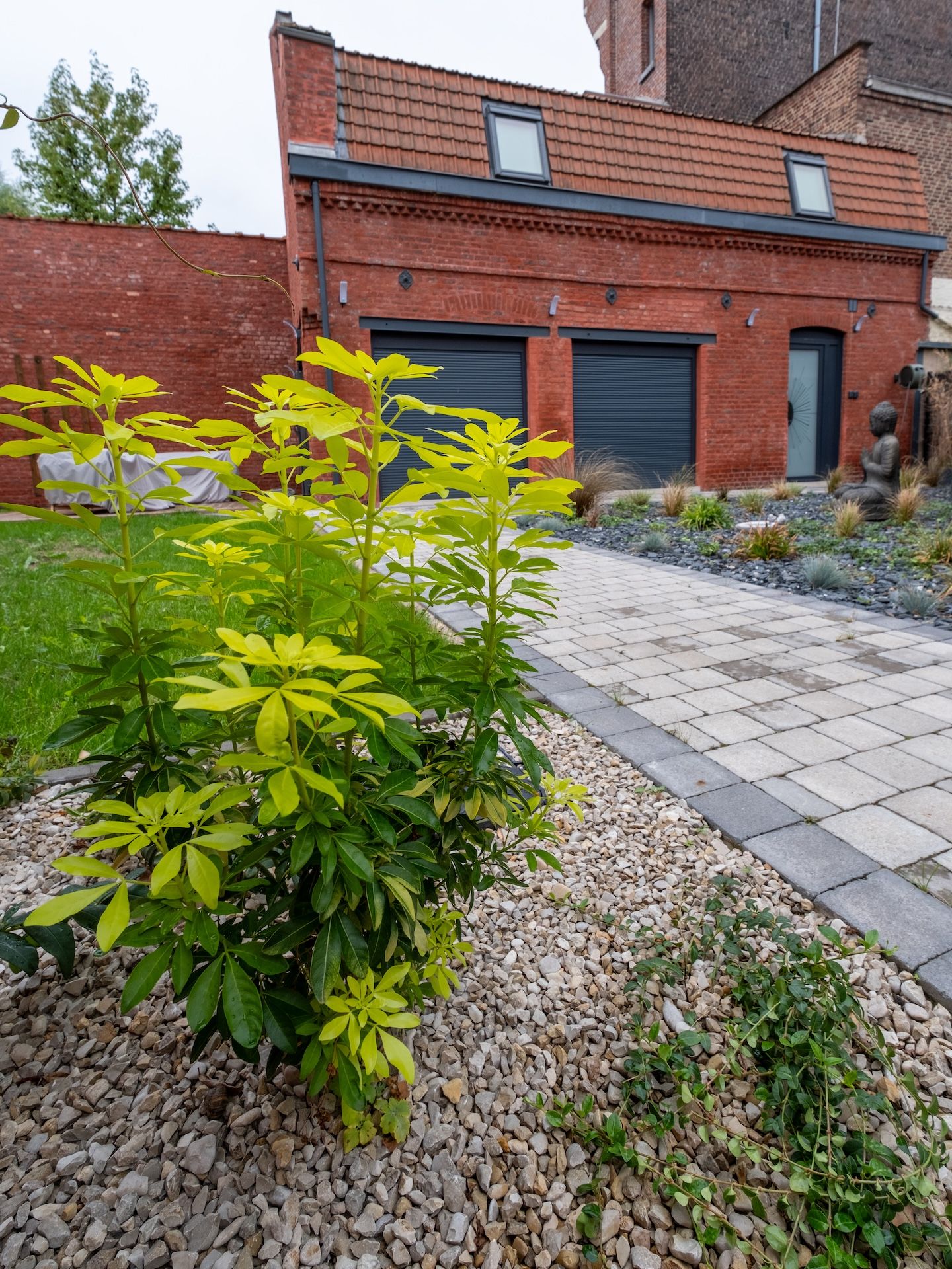Een tuin met verschillende planten en een geplaveid pad.