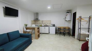 Ein gemütlicher, kompakter Wohnraum mit einer Couch, einer Küchenzeile und einem an der Wand befestigten Fernseher.
