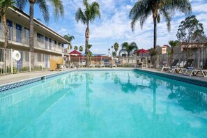 Una piscina con sillones de descanso y palmeras, rodeada por una zona vallada con un edificio al fondo.