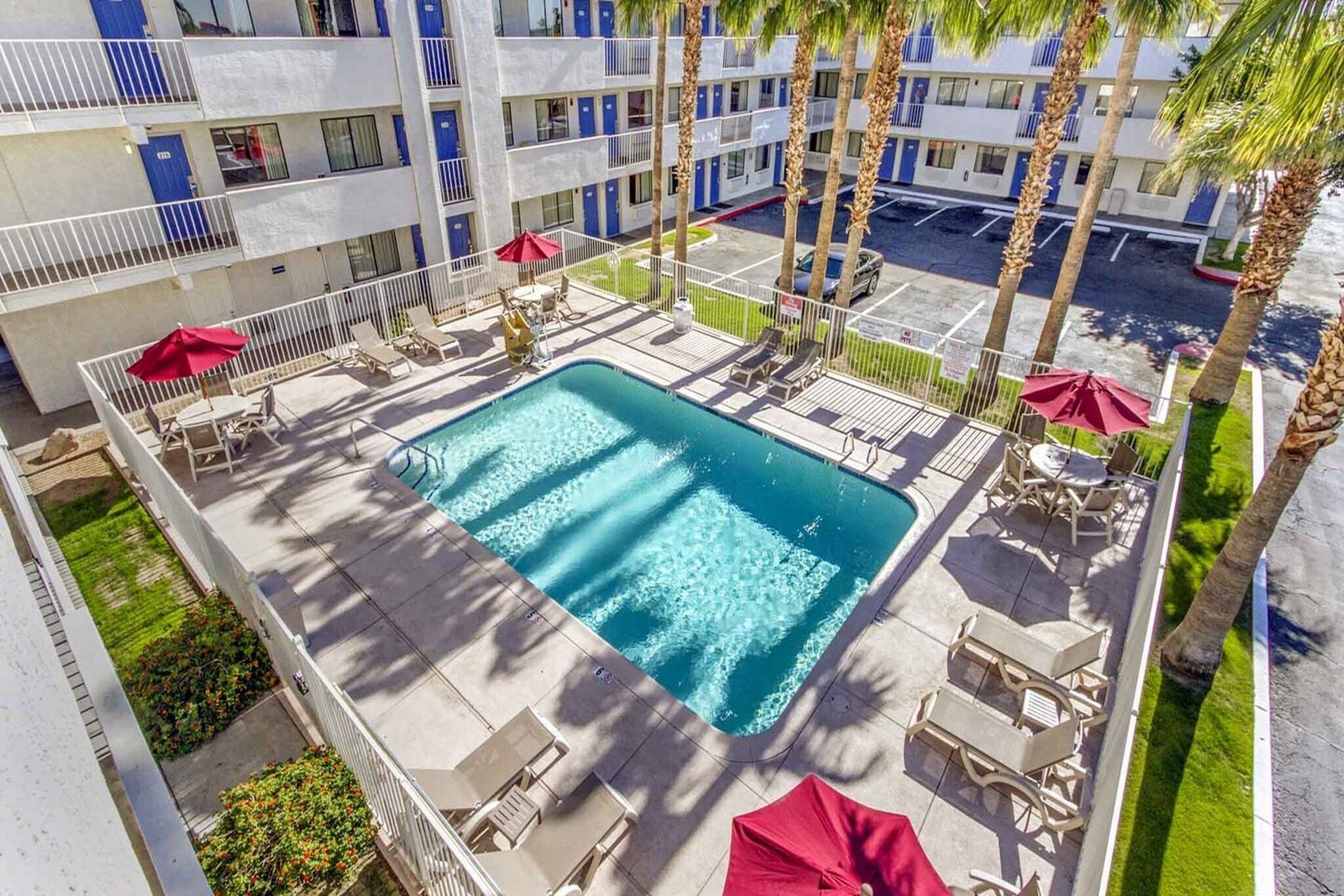 A swimming pool surrounded by lounge chairs and umbrellas, with a multi-story building in the background.