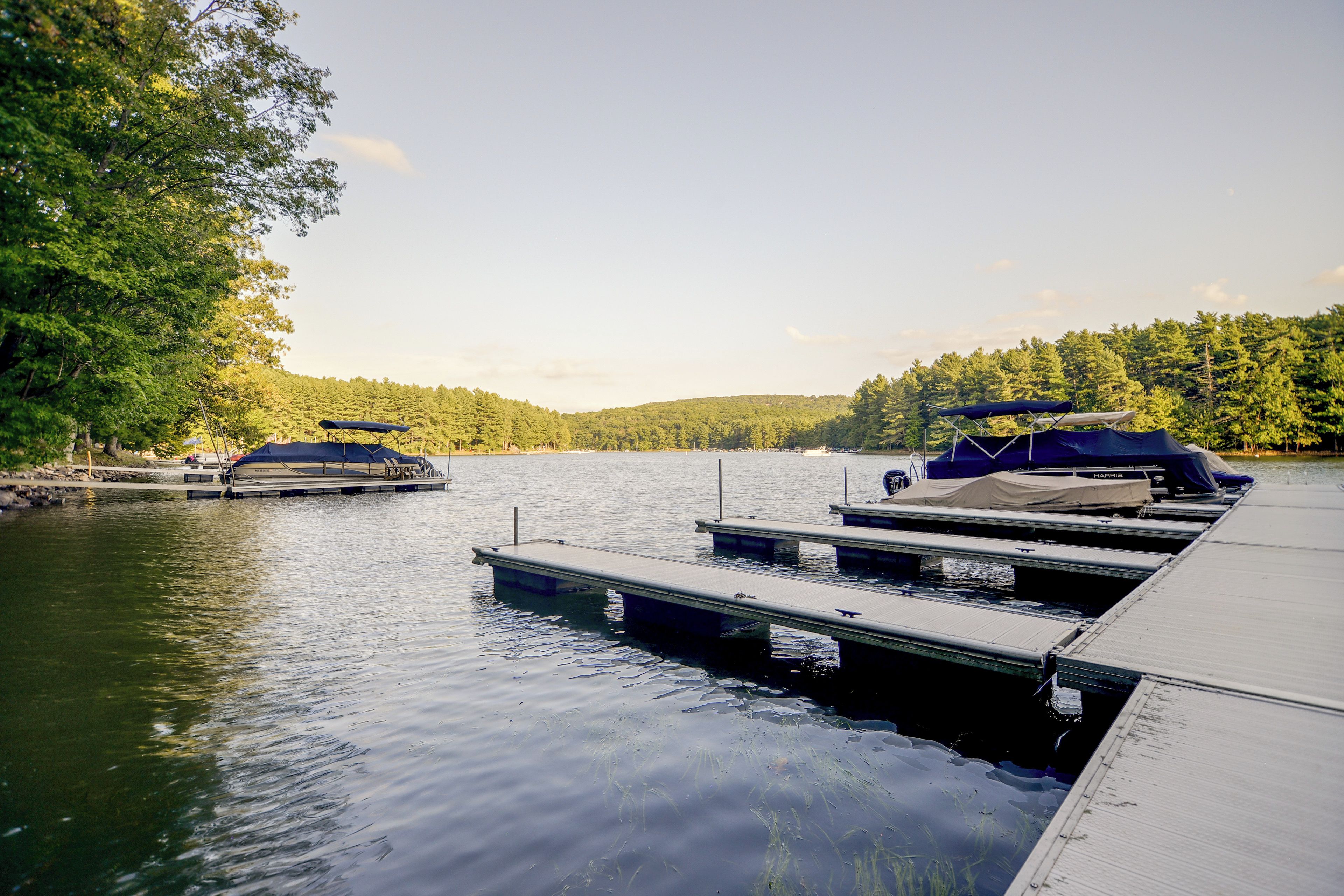 A calm lake with docked boats and a dock extending into the water.