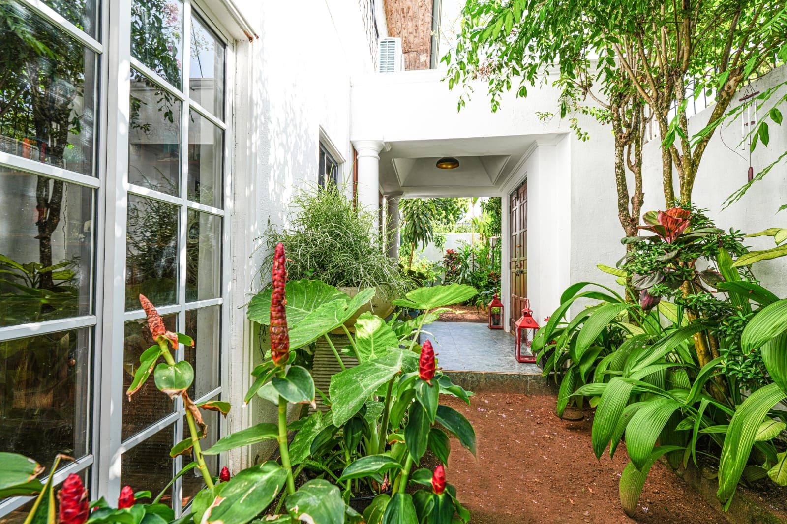A courtyard with potted plants, a pathway, and a building entrance.