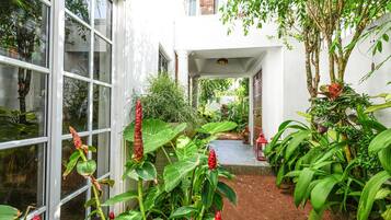 A courtyard with potted plants, a pathway, and a building entrance.