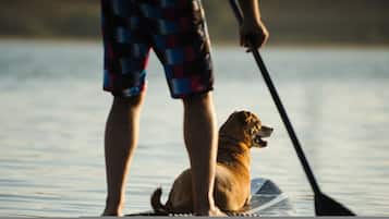 A person standing on a paddleboard with a dog on a transparent board, in a body of water.