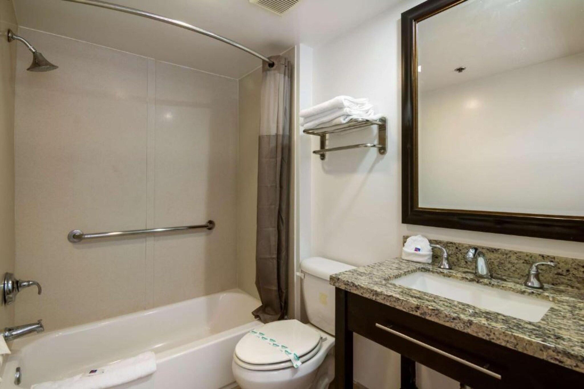 A bathroom with a bathtub, toilet, shower, and a sink with a granite countertop.