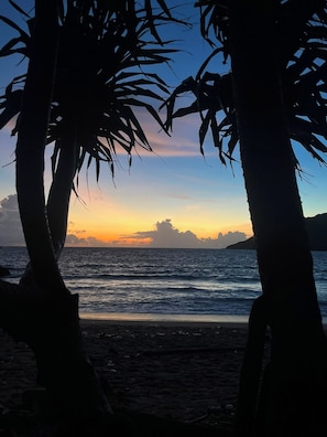 A beach scene with palm trees silhouetted against a sunset. - Lakshmi bungalow at Yanui beach with a sea view (Phuket)
