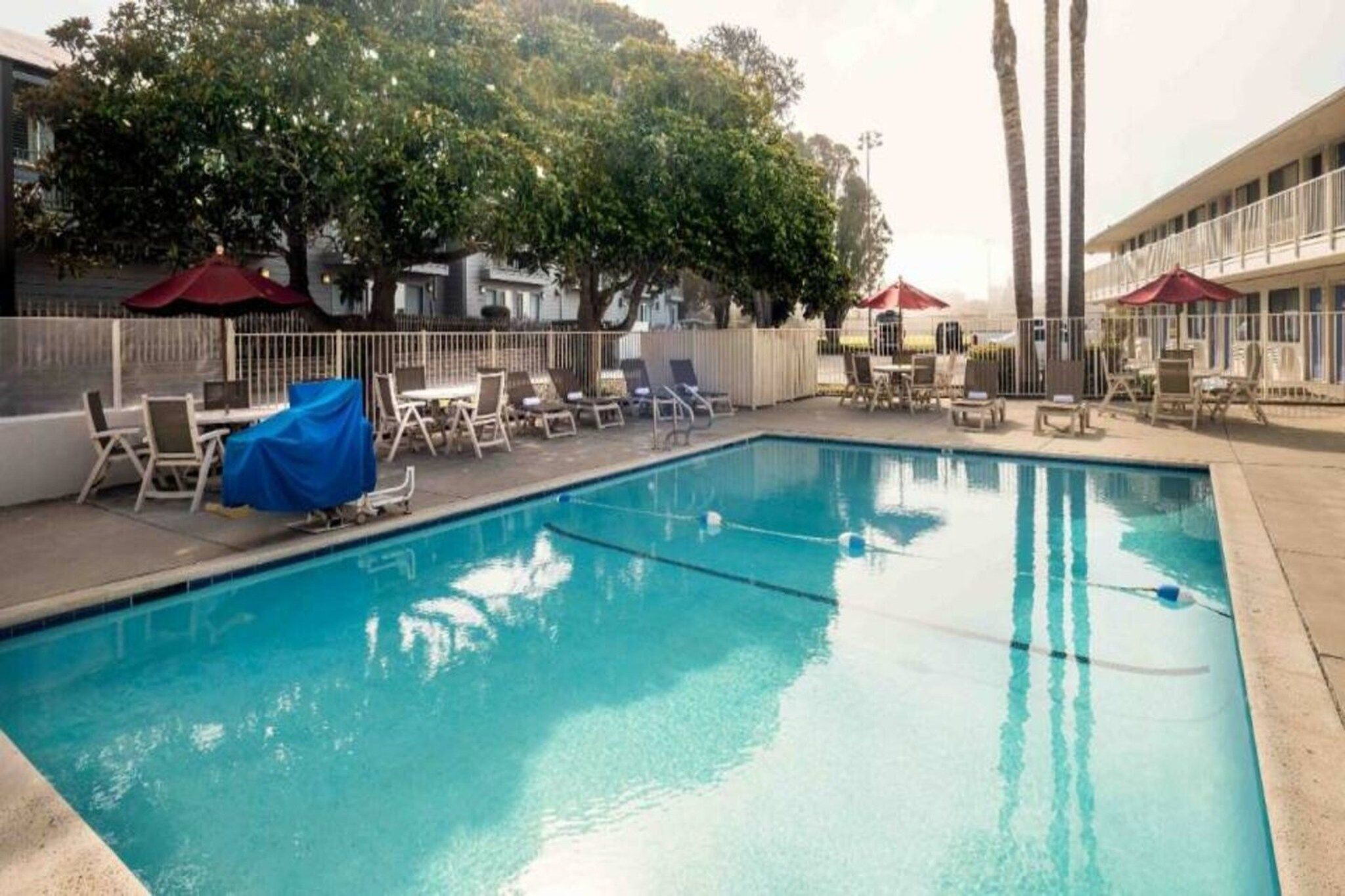 A swimming pool with lounge chairs and umbrellas, surrounded by a fence and trees.