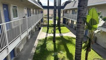 A courtyard with a central lawn, palm trees, and a row of buildings with balconies.