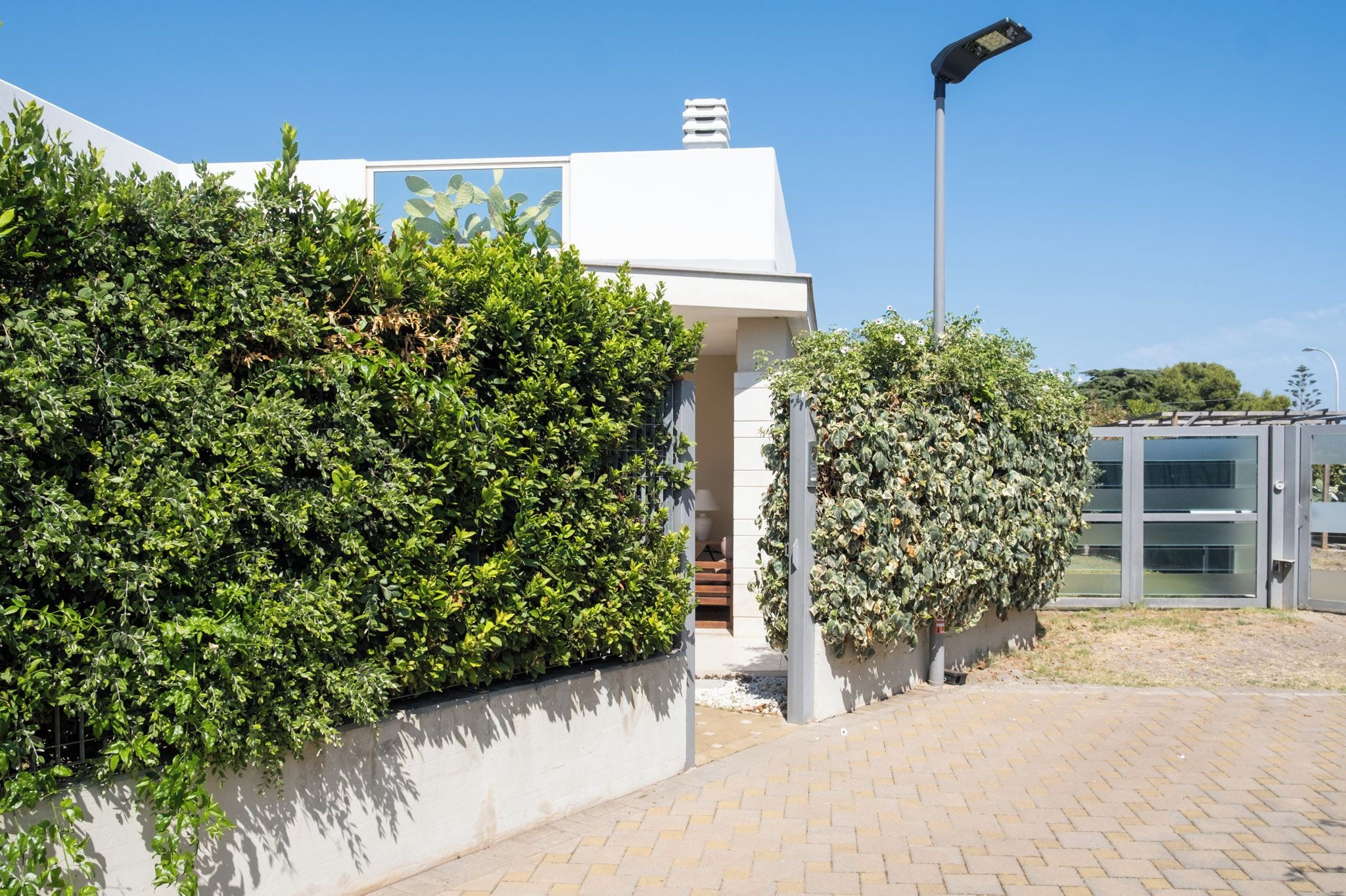A modern building with a white facade, a large hedge, and a street lamp.