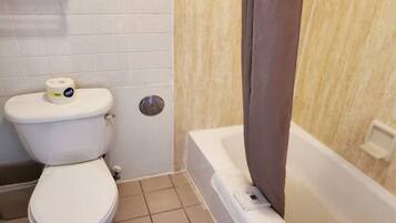 Une salle de bain avec des toilettes, une douche et une baignoire.
