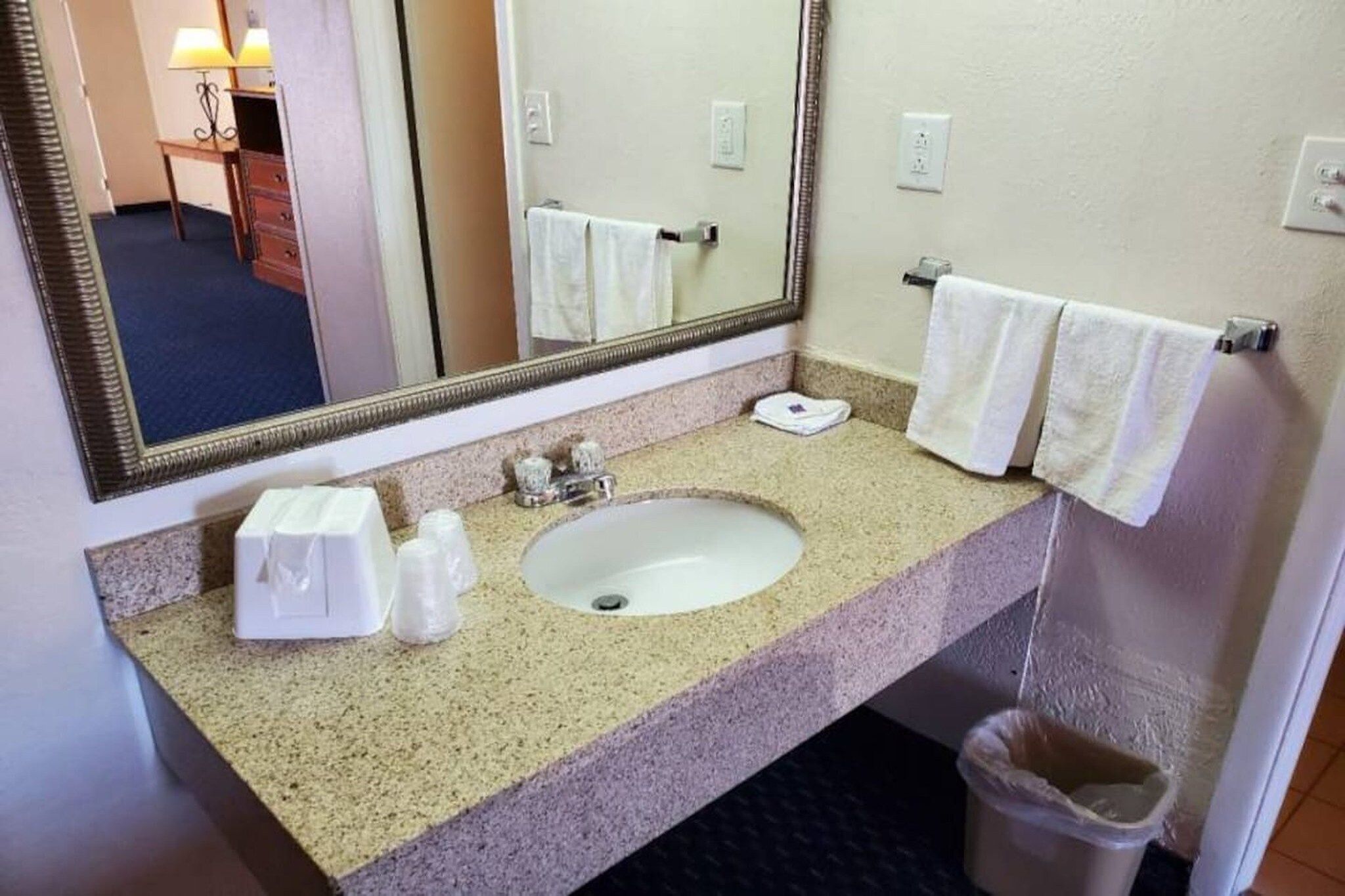A hotel bathroom with a sink, mirror, towel rack, and a trash bin.