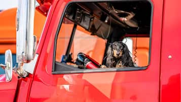 Ein roter Lastwagen mit einem Hund im Fenster.