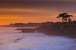 A coastal landscape with a sunset, rocky shoreline, and a few trees.