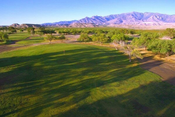 Un extenso campo abierto con árboles dispersos y montañas al fondo.