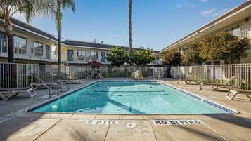 A swimming pool with a 'No Diving' sign, surrounded by lounge chairs and a fence.