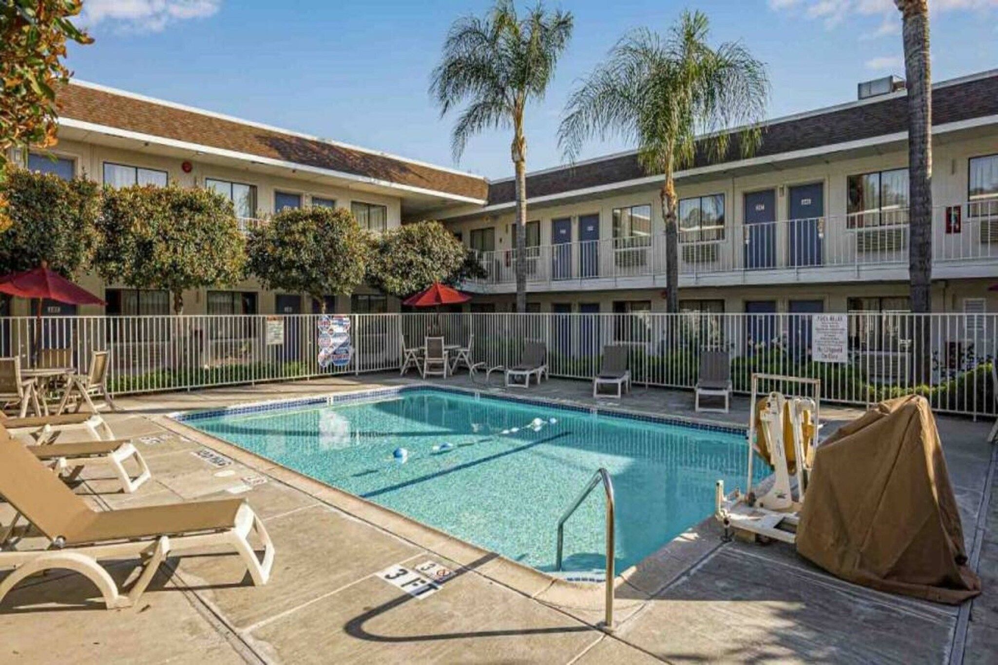 A swimming pool with lounge chairs and umbrellas, surrounded by a fenced area with palm trees.