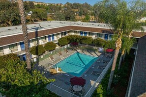 Una piscina al terrat amb gandules i ombrelles, tot voltat per una tanca i palmeres.
