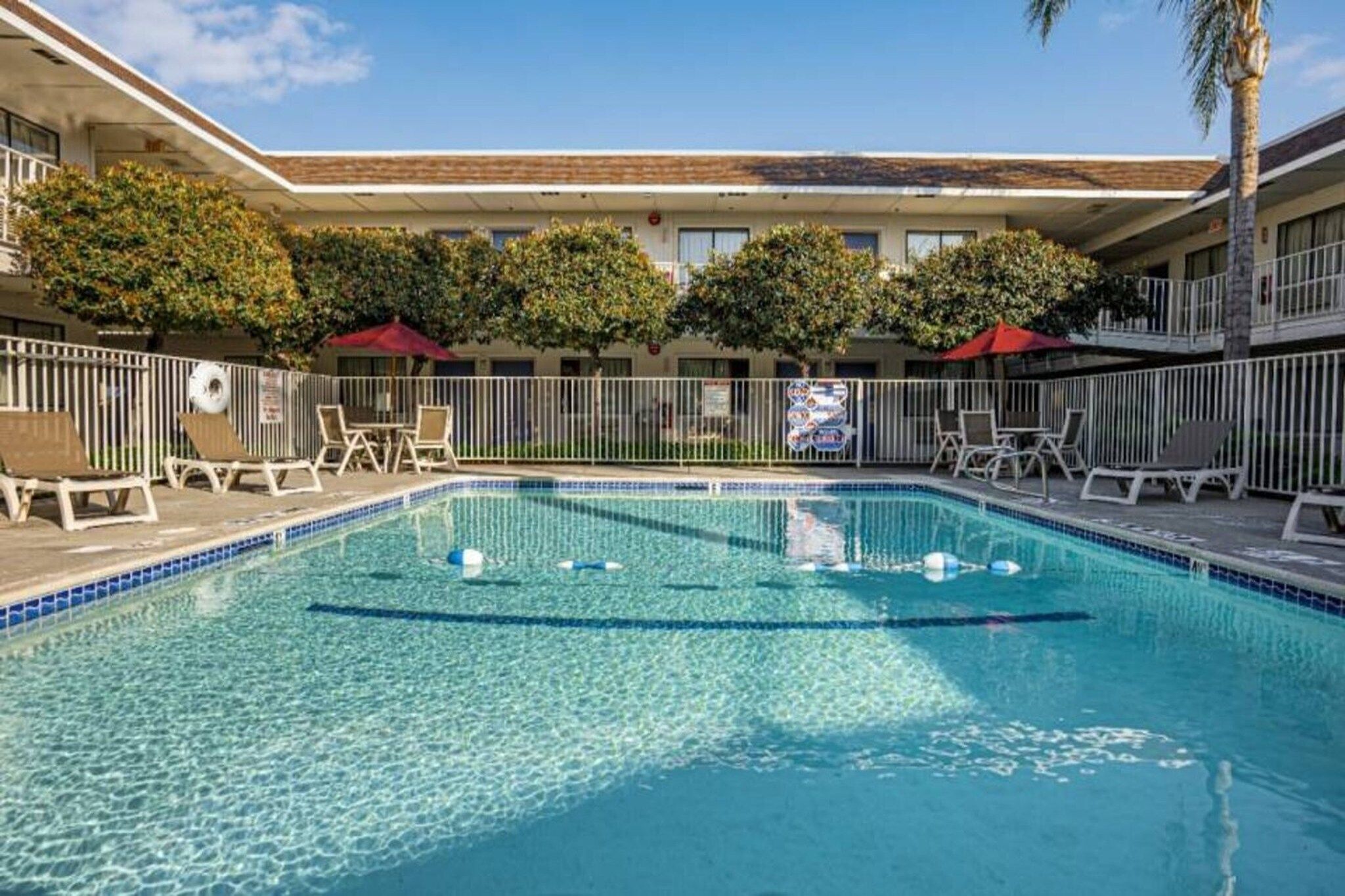 A clear blue pool with lounge chairs and umbrellas, surrounded by a fence and trees.