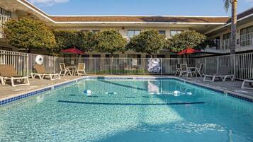 A clear blue pool with lounge chairs and umbrellas, surrounded by a fence and trees.