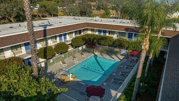 A rooftop pool with lounge chairs and umbrellas, surrounded by a fence and palm trees.