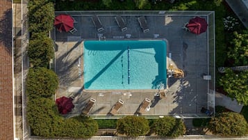 An aerial view of a rectangular swimming pool with lounge chairs and umbrellas, surrounded by a fence and greenery.