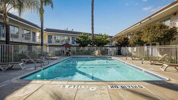 A swimming pool with a 'No Diving' sign, surrounded by a fenced area with lounge chairs and palm trees.