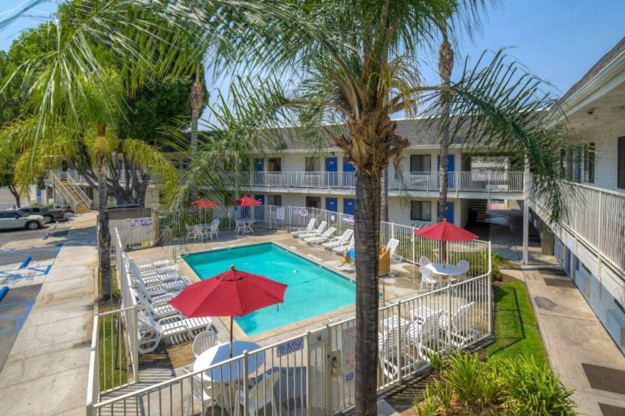 Un hôtel doté d’une piscine, de chaises longues et de palmiers.