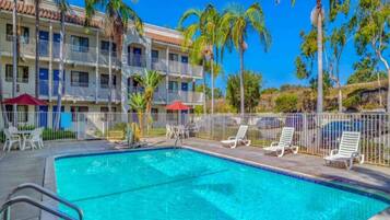 A swimming pool with lounge chairs and umbrellas, surrounded by a fence and palm trees.