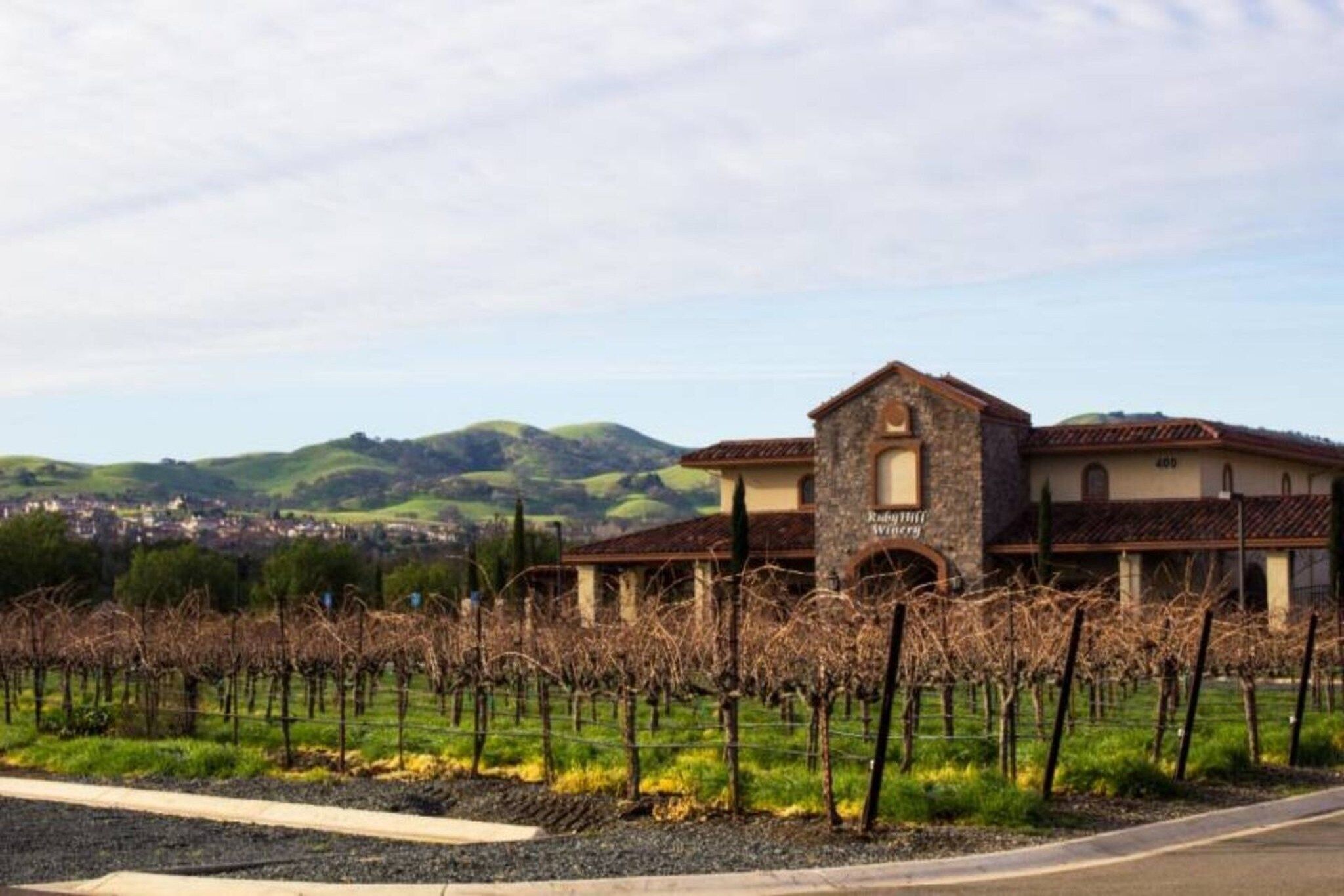 Un vignoble amb files de ceps de vidre i un edifici al fons amb la façana que diu 'Ruby Hill Winery'.