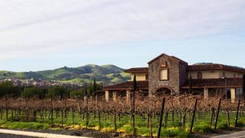 Un vignoble amb files de ceps de vidre i un edifici al fons amb la façana que diu 'Ruby Hill Winery'.