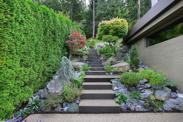 A staircase surrounded by lush greenery and rocks.