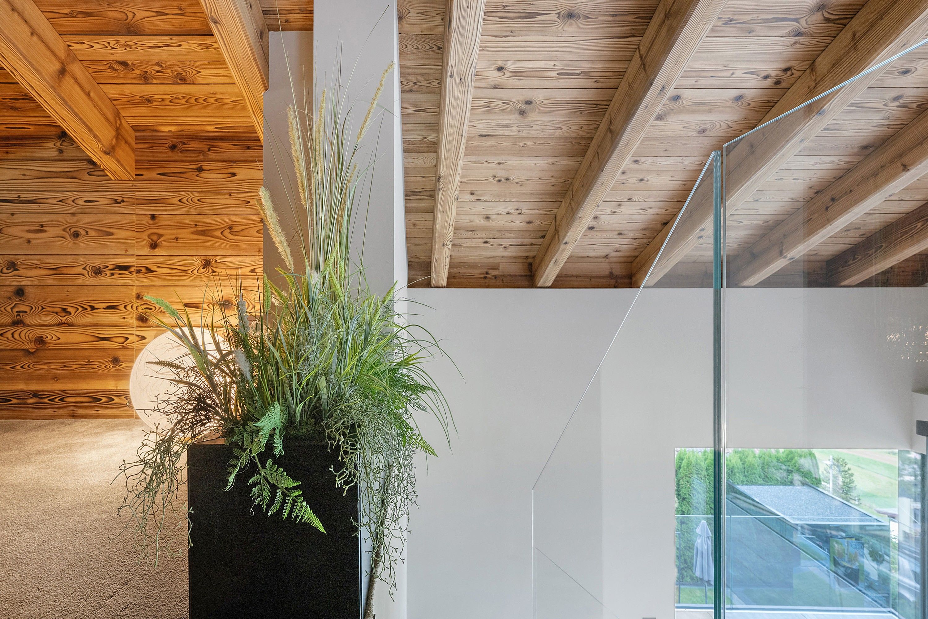 A modern interior with wooden ceiling beams, a glass railing, and a potted plant with green foliage.