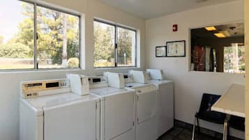A laundry room with four white washing machines, a chair, and windows with a view of trees.