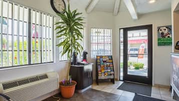 Un espace d’accueil comprenant une horloge, une plante en pot, un tableau d’affichage et une vue sur l’extérieur.