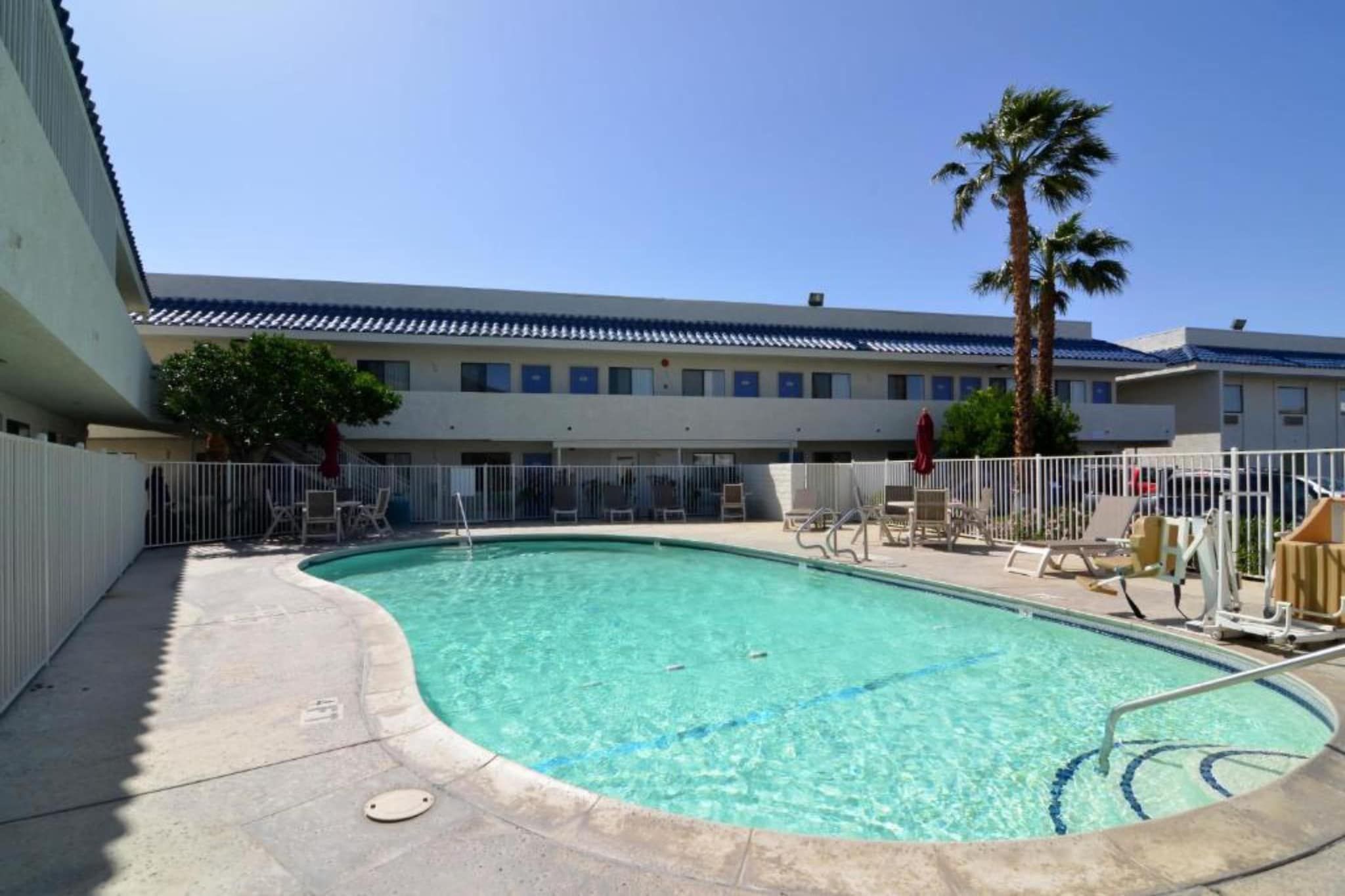 Une piscine avec une terrasse carrelée, entourée de chaises longues et d’un palmier.